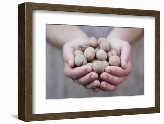 Man in Khaki T-Shirt Holds Walnuts in His Palms-Joe Petersburger-Framed Photographic Print