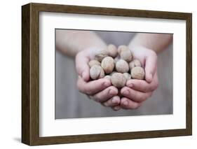 Man in Khaki T-Shirt Holds Walnuts in His Palms-Joe Petersburger-Framed Photographic Print