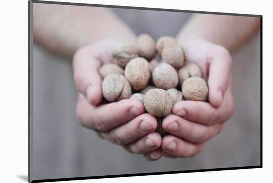 Man in Khaki T-Shirt Holds Walnuts in His Palms-Joe Petersburger-Mounted Photographic Print