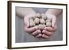 Man in Khaki T-Shirt Holds Walnuts in His Palms-Joe Petersburger-Framed Photographic Print