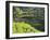 Man in Rice Fields, Nr Ubud, Bali, Indonesia-Peter Adams-Framed Premium Photographic Print