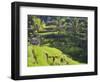 Man in Rice Fields, Nr Ubud, Bali, Indonesia-Peter Adams-Framed Photographic Print