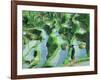 Man in Rice Paddies, Bali, Indonesia-Peter Adams-Framed Photographic Print