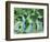 Man in Rice Paddies, Bali, Indonesia-Peter Adams-Framed Photographic Print