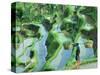 Man in Rice Paddies, Bali, Indonesia-Peter Adams-Stretched Canvas