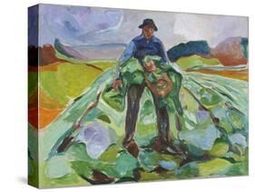 Man in the Cabbage Field, 1916 (Oil on Canvas)-Edvard Munch-Stretched Canvas