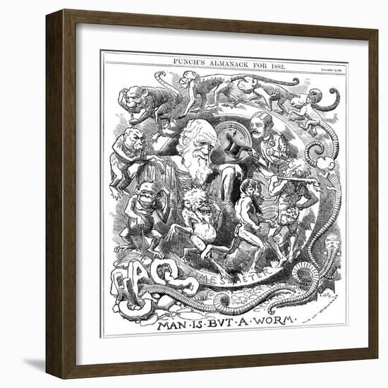 Man Is But a Worm, Cartoon from Punch Showing Evolution from Worm to Man, 1881-null-Framed Giclee Print