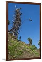 Man jumping from a bamboo tower, Pentecost land diving, Pentecost, Vanuatu, Pacific-Michael Runkel-Framed Photographic Print