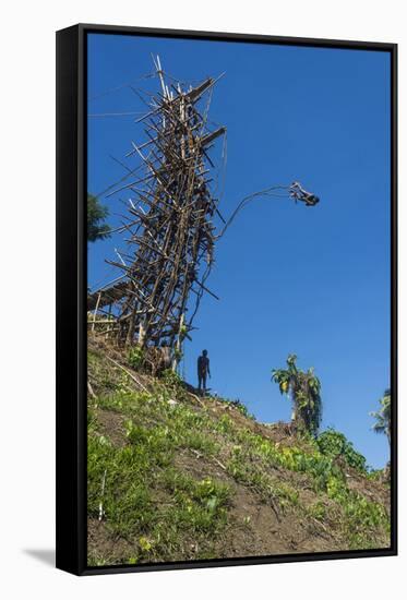 Man jumping from a bamboo tower, Pentecost land diving, Pentecost, Vanuatu, Pacific-Michael Runkel-Framed Stretched Canvas