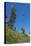 Man jumping from a bamboo tower, Pentecost land diving, Pentecost, Vanuatu, Pacific-Michael Runkel-Stretched Canvas