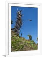 Man jumping from a bamboo tower, Pentecost land diving, Pentecost, Vanuatu, Pacific-Michael Runkel-Framed Photographic Print