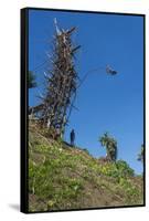 Man jumping from a bamboo tower, Pentecost land diving, Pentecost, Vanuatu, Pacific-Michael Runkel-Framed Stretched Canvas