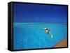 Man Jumping into Tropical Sea from Deck, Maldives, Indian Ocean-Papadopoulos Sakis-Framed Stretched Canvas