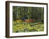 Man Kayaking, Cypress Gardens, Moncks Corner, South Carolina, USA-Corey Hilz-Framed Photographic Print