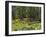 Man Kayaking, Cypress Gardens, Moncks Corner, South Carolina, USA-Corey Hilz-Framed Photographic Print