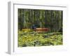 Man Kayaking, Cypress Gardens, Moncks Corner, South Carolina, USA-Corey Hilz-Framed Photographic Print