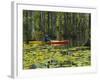 Man Kayaking, Cypress Gardens, Moncks Corner, South Carolina, USA-Corey Hilz-Framed Photographic Print