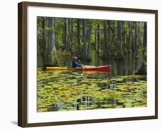 Man Kayaking, Cypress Gardens, Moncks Corner, South Carolina, USA-Corey Hilz-Framed Photographic Print