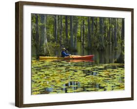 Man Kayaking, Cypress Gardens, Moncks Corner, South Carolina, USA-Corey Hilz-Framed Photographic Print