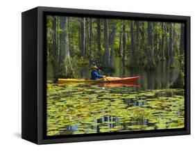 Man Kayaking, Cypress Gardens, Moncks Corner, South Carolina, USA-Corey Hilz-Framed Stretched Canvas