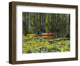 Man Kayaking, Cypress Gardens, Moncks Corner, South Carolina, USA-Corey Hilz-Framed Photographic Print