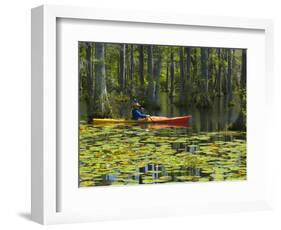 Man Kayaking, Cypress Gardens, Moncks Corner, South Carolina, USA-Corey Hilz-Framed Photographic Print