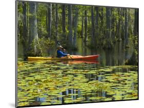 Man Kayaking, Cypress Gardens, Moncks Corner, South Carolina, USA-Corey Hilz-Mounted Photographic Print