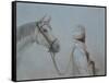 Man Leading Horse-Lincoln Seligman-Framed Stretched Canvas