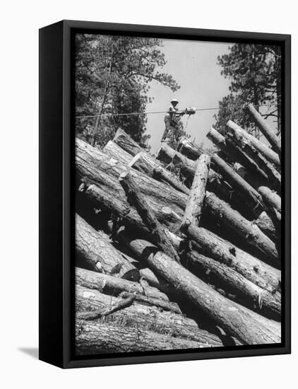 Man Lifting Logs Out of a Lumber Pile-J^ R^ Eyerman-Framed Stretched Canvas