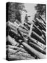 Man Lifting Logs Out of a Lumber Pile-J^ R^ Eyerman-Stretched Canvas