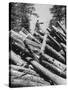 Man Lifting Logs Out of a Lumber Pile-J^ R^ Eyerman-Stretched Canvas