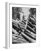 Man Lifting Logs Out of a Lumber Pile-J^ R^ Eyerman-Framed Photographic Print