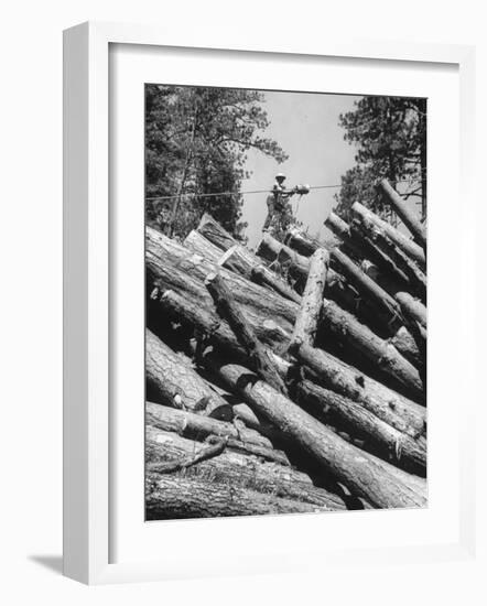 Man Lifting Logs Out of a Lumber Pile-J^ R^ Eyerman-Framed Photographic Print