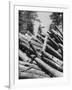 Man Lifting Logs Out of a Lumber Pile-J^ R^ Eyerman-Framed Photographic Print