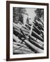 Man Lifting Logs Out of a Lumber Pile-J^ R^ Eyerman-Framed Photographic Print