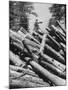 Man Lifting Logs Out of a Lumber Pile-J^ R^ Eyerman-Mounted Photographic Print