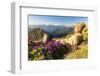 Man lying down on top of Monte Azzarini looks to Monte Disgrazia and Monte Pedena, Albaredo Valley-Roberto Moiola-Framed Photographic Print