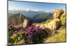 Man lying down on top of Monte Azzarini looks to Monte Disgrazia and Monte Pedena, Albaredo Valley-Roberto Moiola-Mounted Photographic Print