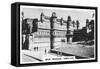 Man Mandir, Gwalior, Madhya Pradesh, India, C1925-null-Framed Stretched Canvas