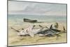 Man Measuring Two Dead Sharks on a Beach, Walvis Bay, Namibia, 1861-Thomas Baines-Mounted Giclee Print