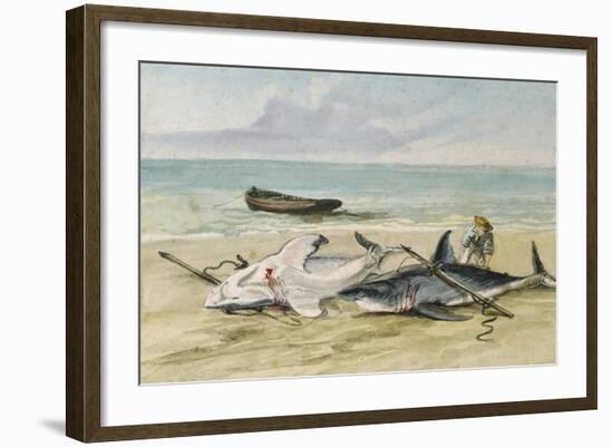 Man Measuring Two Dead Sharks on a Beach, Walvis Bay, Namibia, 1861-Thomas Baines-Framed Giclee Print