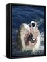Man Messaging for Help from Shark's Mouth-DLILLC-Framed Stretched Canvas
