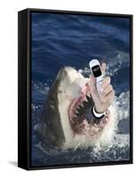 Man Messaging for Help from Shark's Mouth-DLILLC-Framed Stretched Canvas
