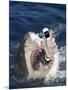 Man Messaging for Help from Shark's Mouth-DLILLC-Mounted Photographic Print
