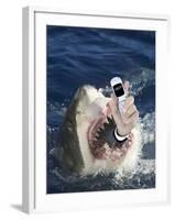 Man Messaging for Help from Shark's Mouth-DLILLC-Framed Photographic Print