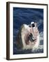 Man Messaging for Help from Shark's Mouth-DLILLC-Framed Photographic Print