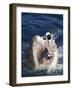 Man Messaging for Help from Shark's Mouth-DLILLC-Framed Photographic Print