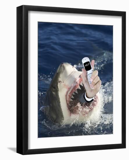 Man Messaging for Help from Shark's Mouth-DLILLC-Framed Photographic Print