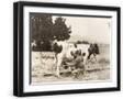 Black Frame