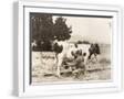 White Frame